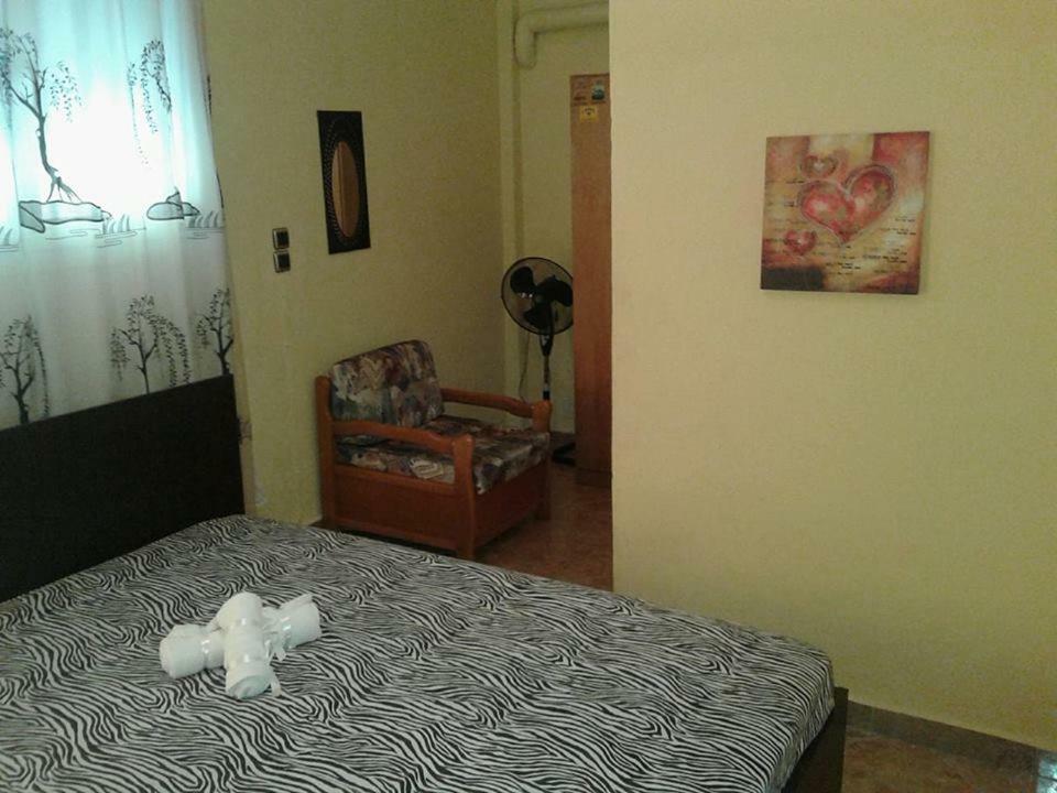 Gatos Apartment Skála Marión Dış mekan fotoğraf